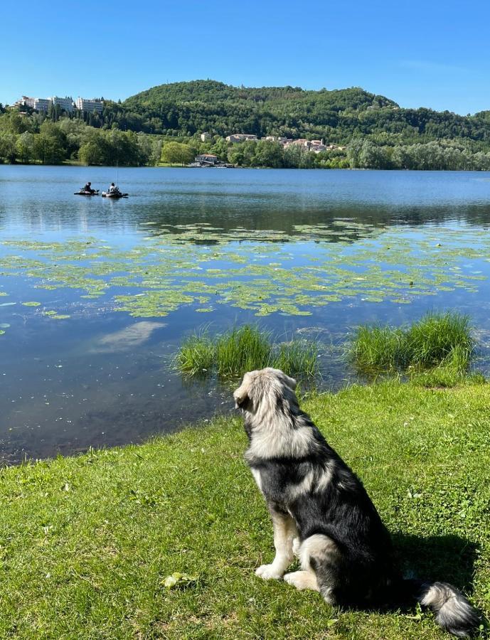 Altravista Tarzo Villa Revine Lago Bagian luar foto